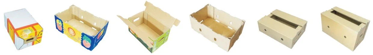 product-1240-183 product-1240-183
